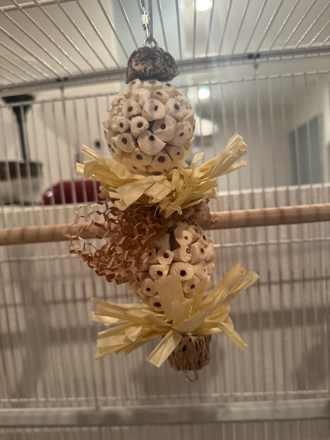 Mahogany Pods Cheep Thrills Bird Small Pet Toys