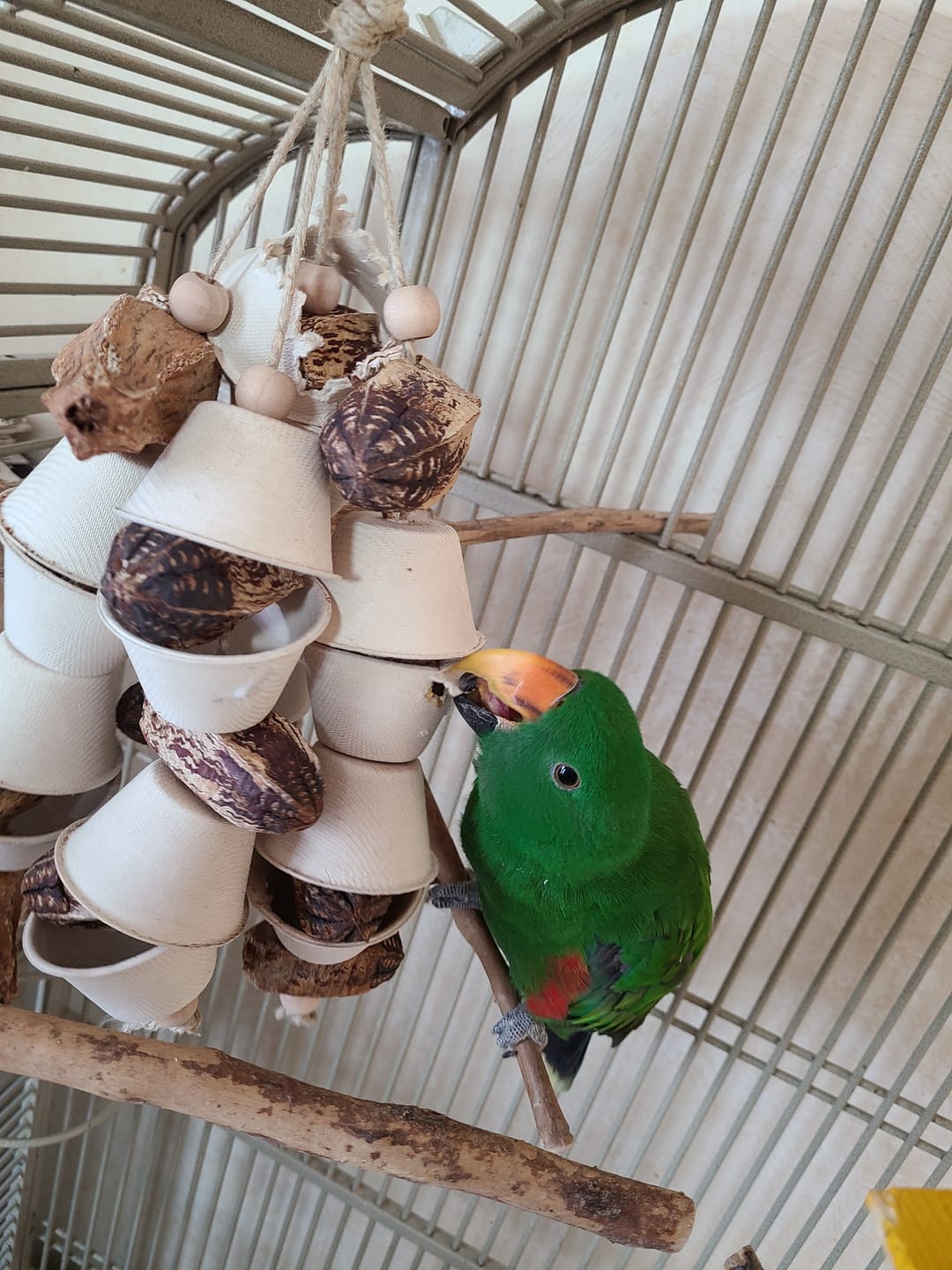 Pet Chew Toy